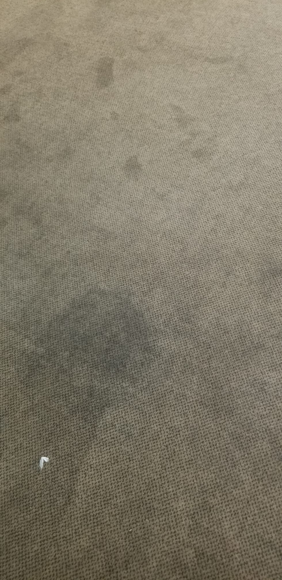 Golden Prestige Carpet Inc Image
